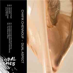 Chafik Chennouf - Dual Aspect flac album