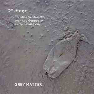 Christine Wodrascka / Jean-Luc Cappozzo / Gerry Hemingway : 2° Étage - Grey Matter flac album