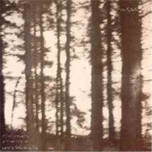 Cindytalk - The Wind Is Strong... flac album
