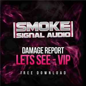 Damage Report  - Lets See VIP flac album
