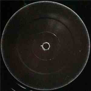 Dan H & Christoph Fringeli - New Skin 01 flac album
