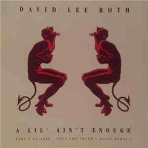 David Lee Roth - A Lil' Ain't Enough flac album