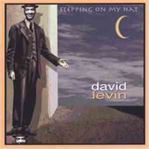 David Levin - Stepping On My Hat flac album