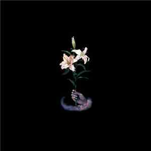 DBUK - Songs One Through Eight flac album