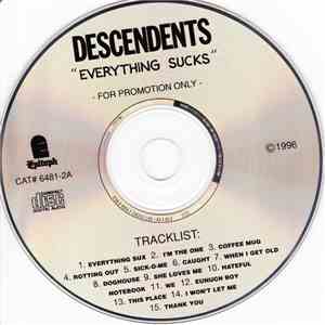 Descendents - Everything Sucks flac album