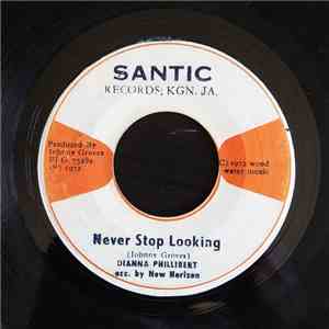 Dianna Phillibert - Never Stop Looking flac album