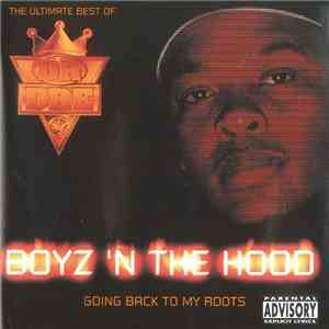Dr Dre - Boyz 'N The Hood - Going Back To My Roots flac album