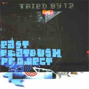 East Flatbush Project - Tried By 12 (Remixes) flac album