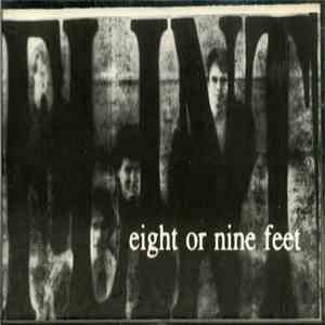 Eight Or Nine Feet - Flint flac album