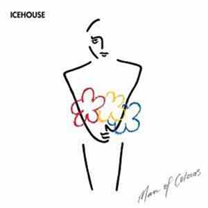 Icehouse - Man Of Colours flac album