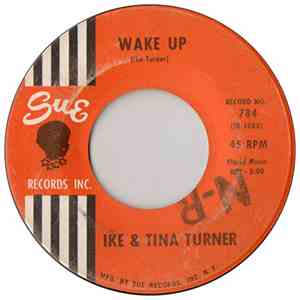 Ike & Tina Turner - Don't Play Me Cheap flac album