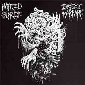 Insect Warfare / Hatred Surge - Insect Warfare / Hatred Surge flac album