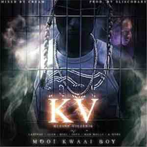 Kleine Viezerik - Mooi Kwaai Boy flac album