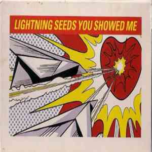 Lightning Seeds - You Showed Me flac album