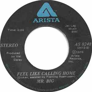 Mr Big - Feel Like Calling Home flac album