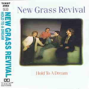 New Grass Revival - Hold To A Dream flac album