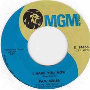 Pam Miller  - I Have You Now / We're Just Hangin' On flac album