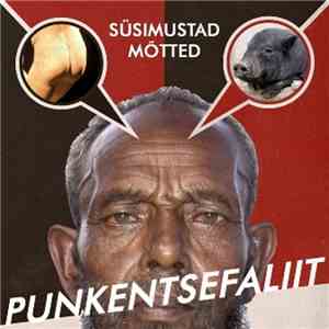 Punkentsefaliit - Süsimustad mõtted flac album