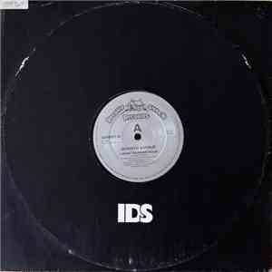 Seventh Avenue - I Hear Thunder flac album