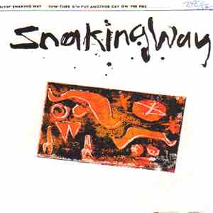 Snaking Way - Cure flac album