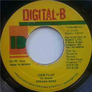 Spragga Benz - Dem Flap flac album