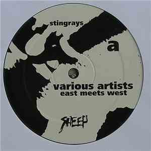 Stingrays, Kuniaki Takenaga, Stoney Bridge, Fishguard - East Meets West flac album