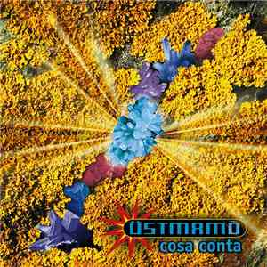 Üstmamò - Cosa Conta flac album