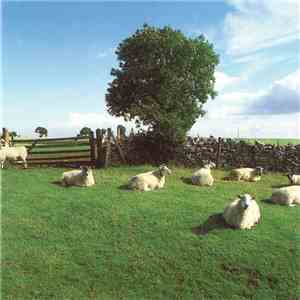 The KLF - Chill Out flac album