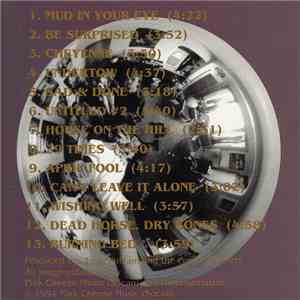 The Purple Helmets  - Bugs In Jars... flac album