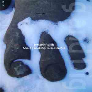Torstein Wjiik - Analog And Digital Nostalgia flac album