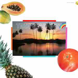 Various - Bizzl - 16 Golden Tropical Hits flac album