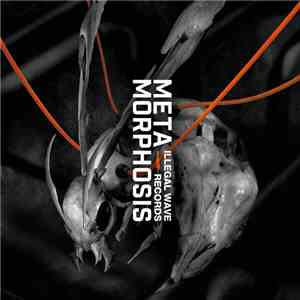 Various - Metamorphosis flac album