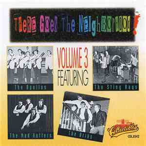 Various - There Goes The Neighborhood Volume 3 flac album