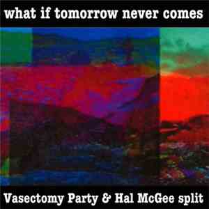 Vasectomy Party & Hal McGee - What If Tomorrow Never Comes flac album