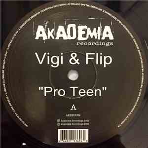 Vigi & Flip - Pro Teen flac album