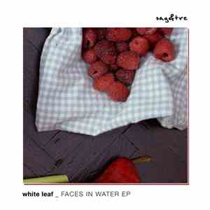 White Leaf - Faces In Water flac album
