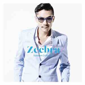 Zeebra - Endless Summer Sonpub Remix flac album