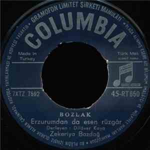 Zekeriya Bozdağ - Erzurumdan Da Esen Rüzgâr flac album