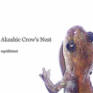 Akashic Crow's Nest - Equidistant flac album