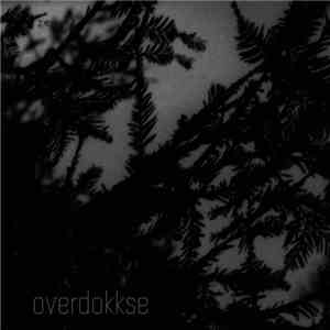 Alldrig - Overdokkse flac album