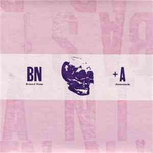 Bastard Noise + Antennacle - BN + A flac album