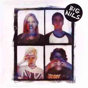 Big Nils - Bitch Gutsssssss flac album