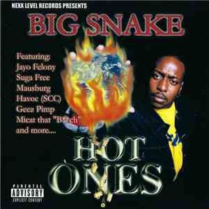 Big Snake - Hot Ones flac album