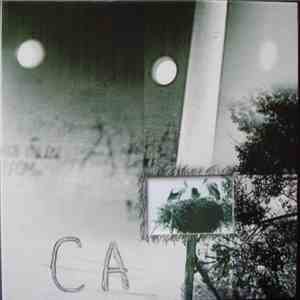 CAT Contemporary Acoustic Trio - CAT flac album