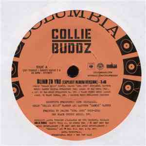 Collie Buddz - Blind To You flac album
