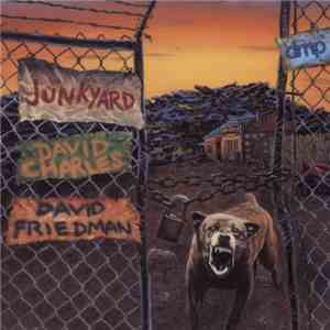 David Charles  • David Friedman - Junkyard flac album
