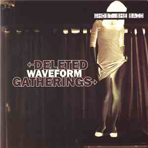 Deleted Waveform Gatherings - Ghost, She Said flac album