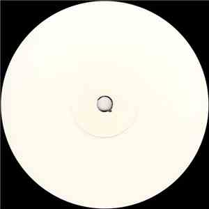 DJ David Dam - Along Came flac album