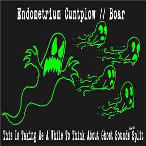 Endometrium Cuntplow // Boar - This Is Taking Me Awhile To Think About Ghost Sounds Split flac album