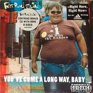 Fatboy Slim - You've Come A Long Way, Baby flac album